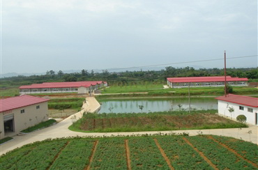 養(yǎng)殖基地2