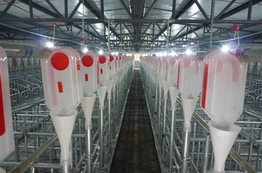 自動化養(yǎng)殖1